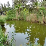 Villa Lago ヴィラ San Vicente Raspeig