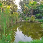 Villa Lago San Vicente Raspeig