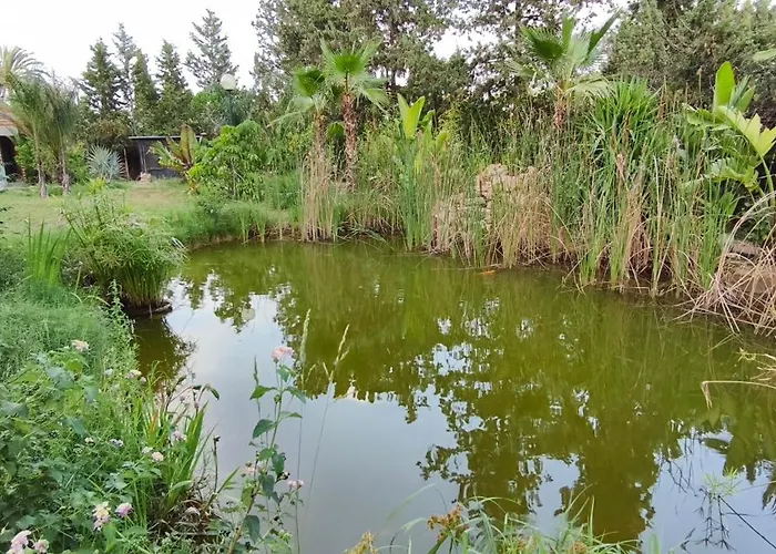 Villa Lago Willa San Vicente Raspeig