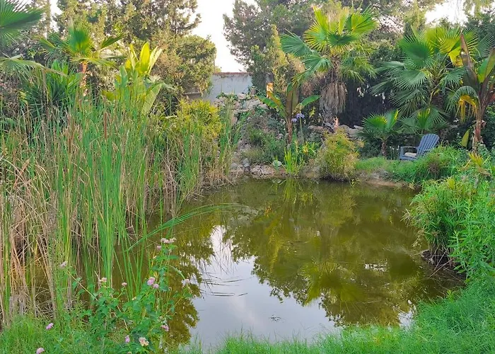 Villa Lago San Vicente Raspeig